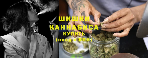 шишки Иннополис