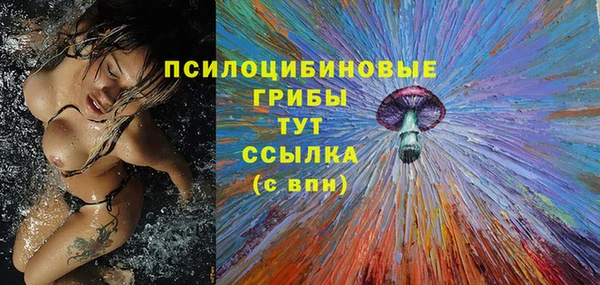 мдпв Арсеньев